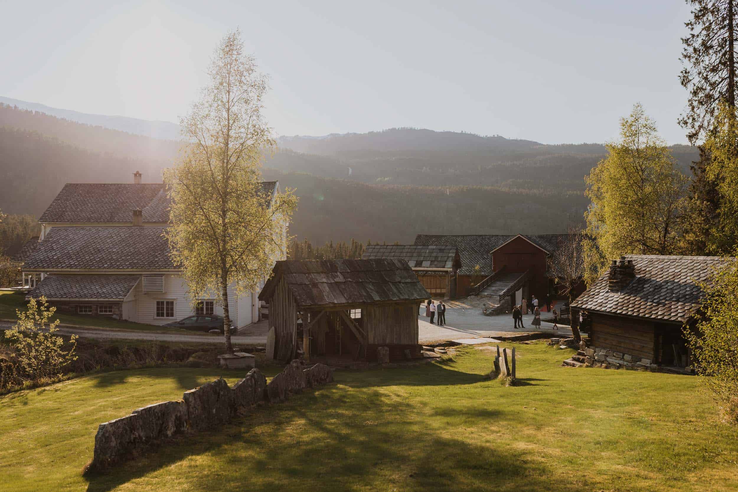 en gård på sommer i fint lys, med et hus og en låve