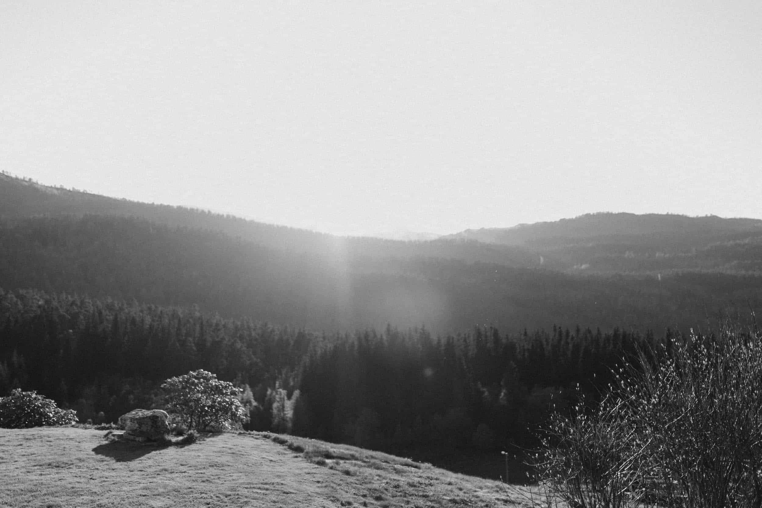 landskap av fjell og skog