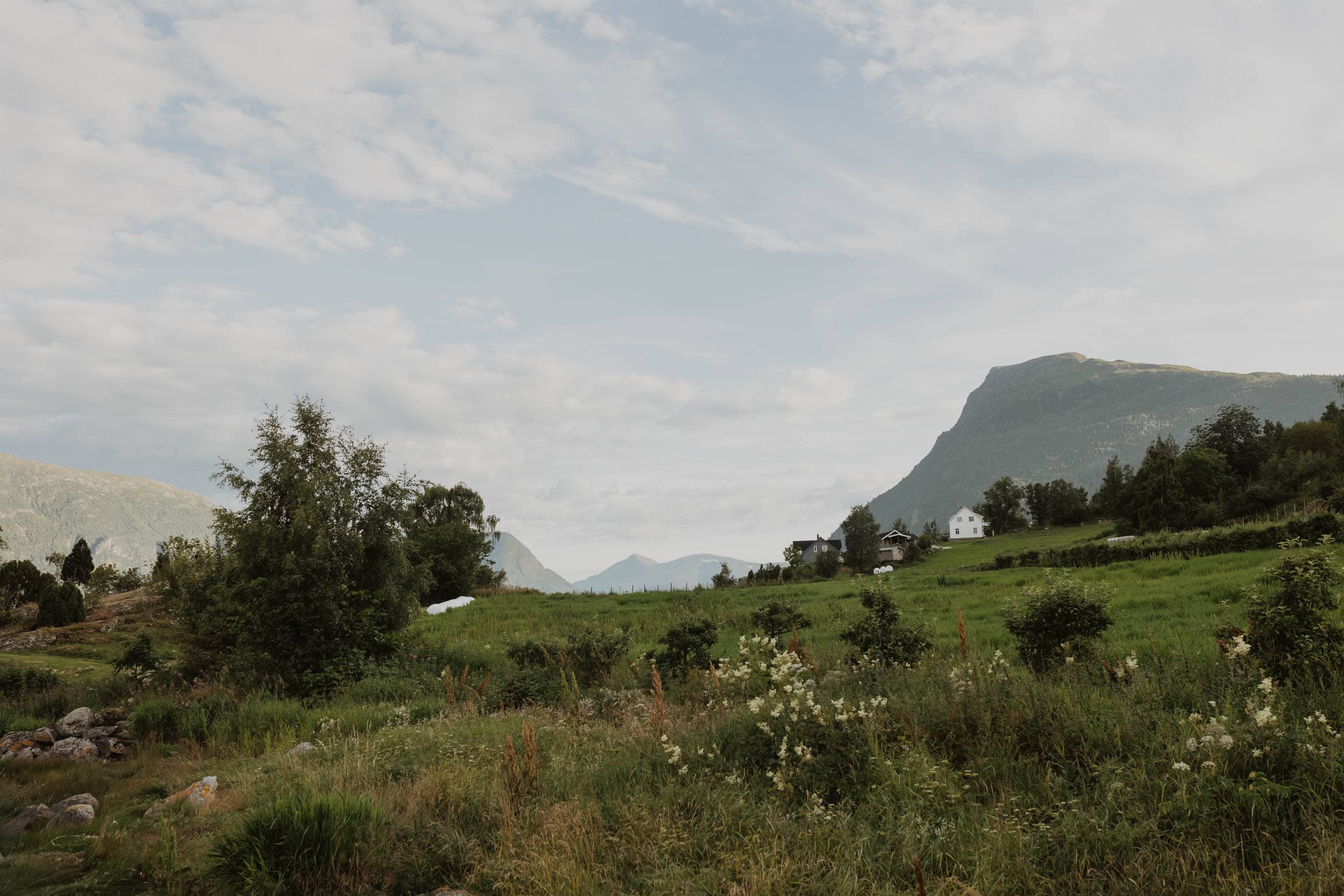 norsk landskap i sommertiden- grønn enga, og fjell
